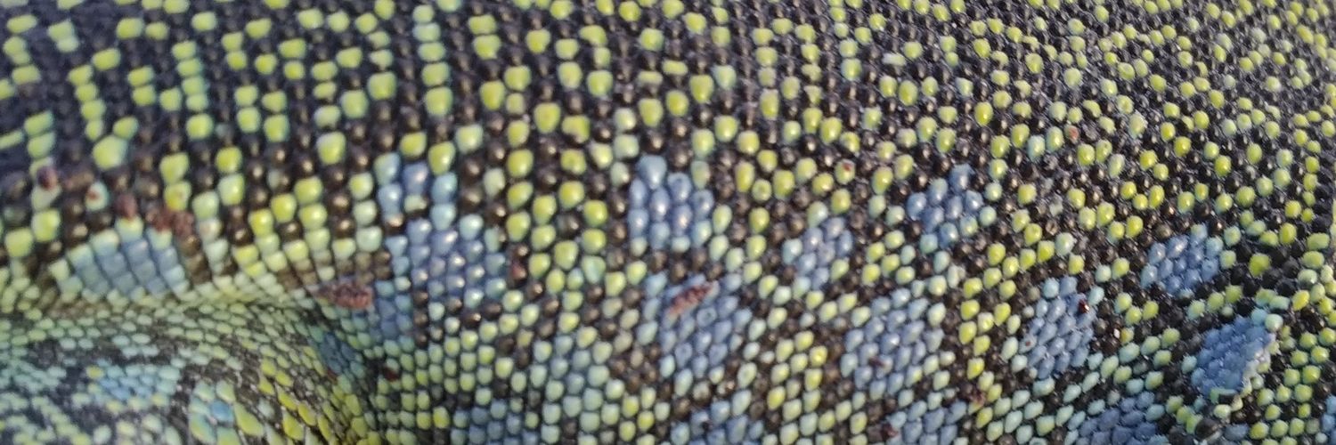 popayos's profile banner image