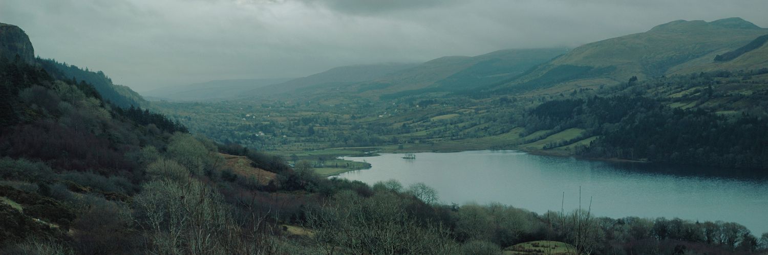 Michellearty's profile banner image