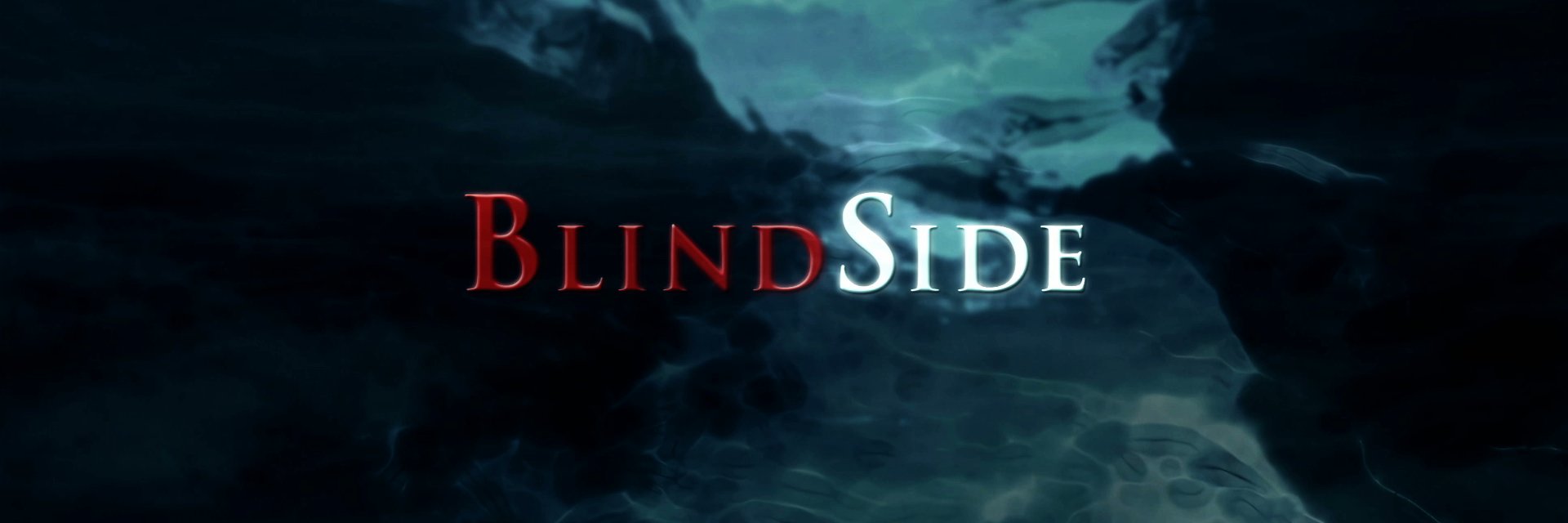 BlindSideNZ's profile banner image