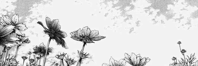 JsX banner