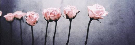 nataliemudge's profile banner image