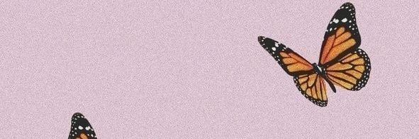 danielasbecerra's profile banner image