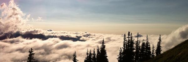 BadMojoNation Profile Banner