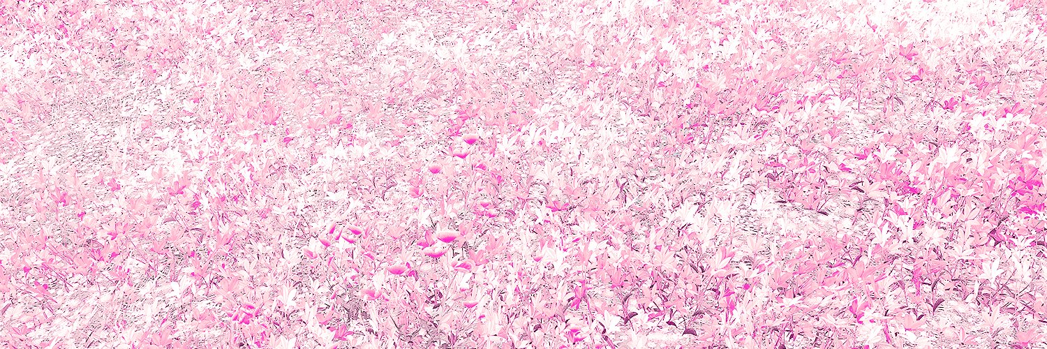 ꒰ ☼ ꒱ banner