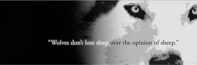 Jesselabassy's profile banner image