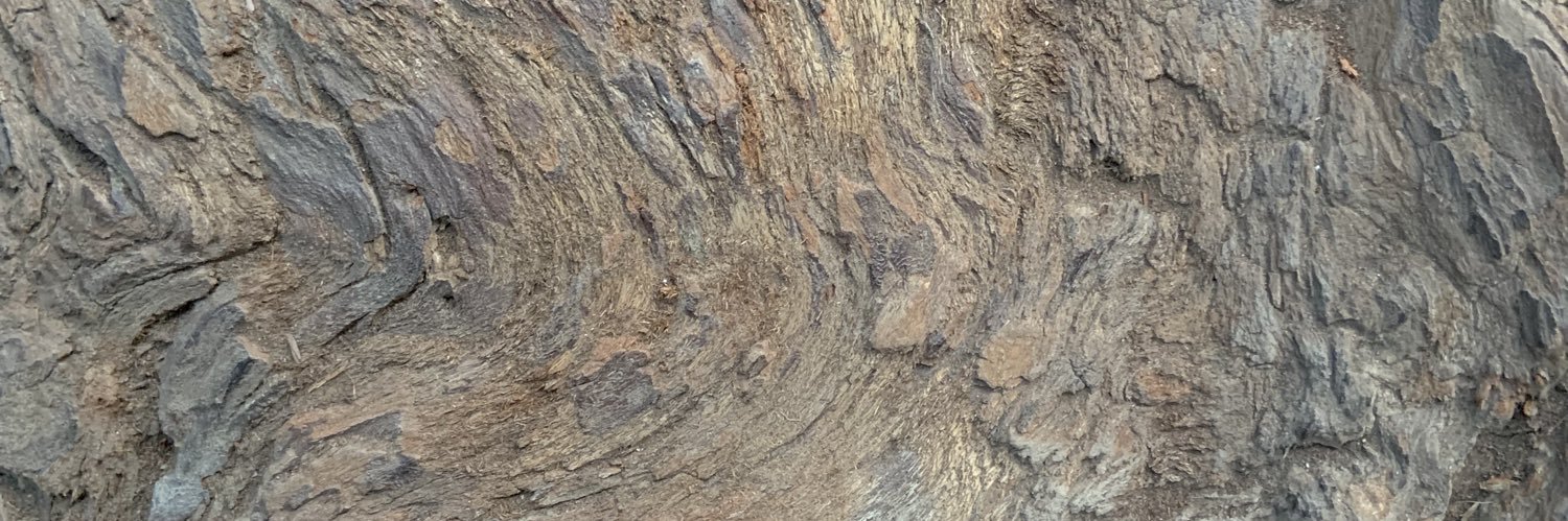 Cicely banner