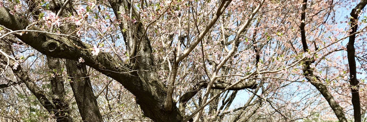 magdatorro's profile banner image
