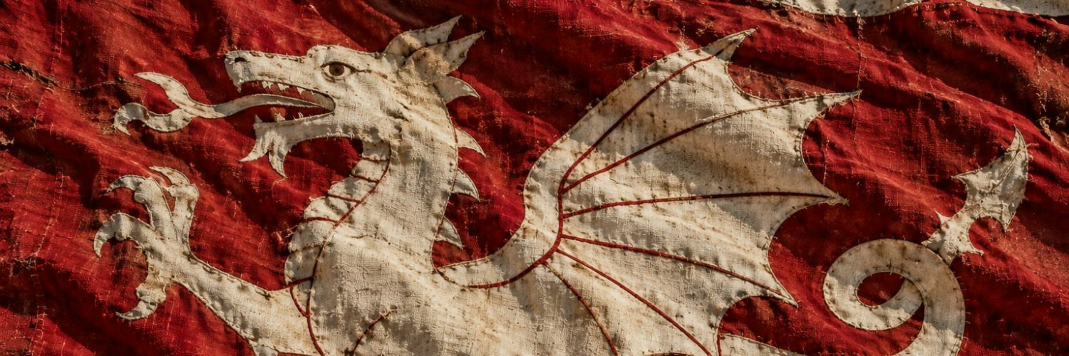 BornOfAlbion's profile banner image