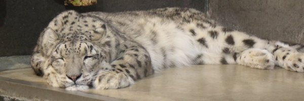 TAKA1754103 Profile Banner