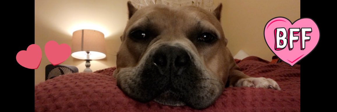 bsnoooo's profile banner image