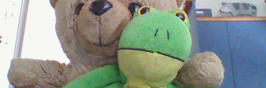 Frog Denby banner