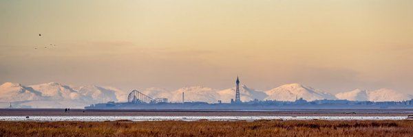 Bottoms_bray Profile Banner