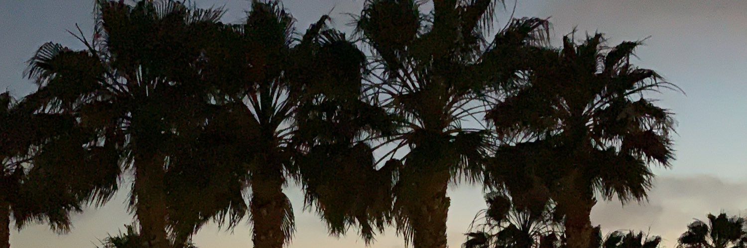 Simon Mashian banner