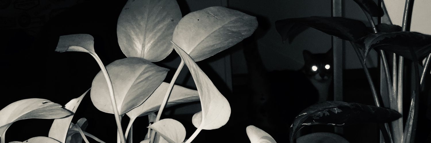 _nastaci's profile banner image