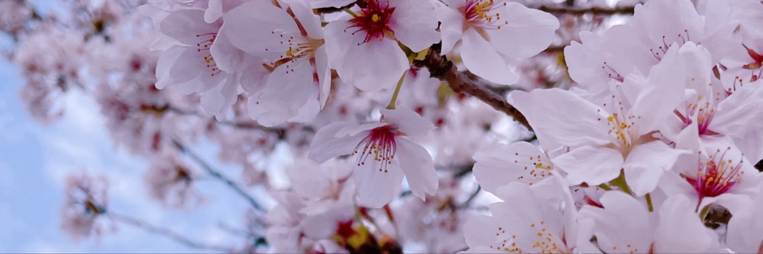 Nattsu_n38's profile banner image