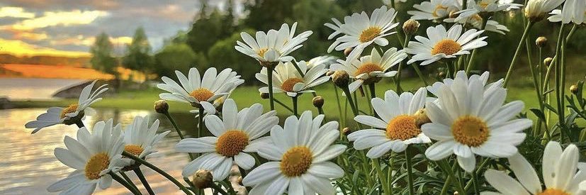 GulYaz_Isa's profile banner image
