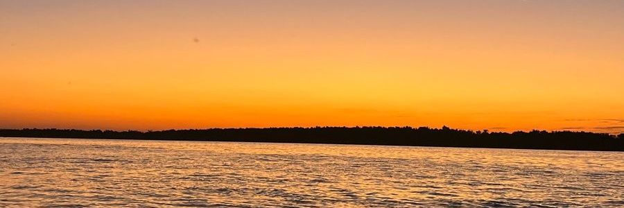 F_Bovolini's profile banner image