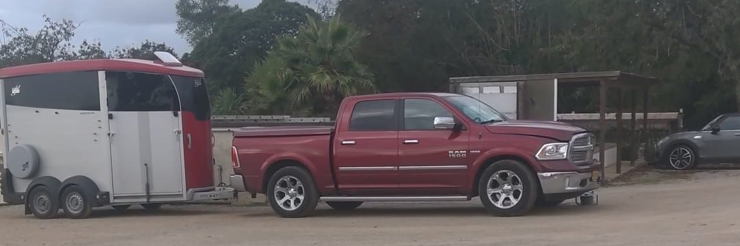 DeVoogdtrans's profile banner image