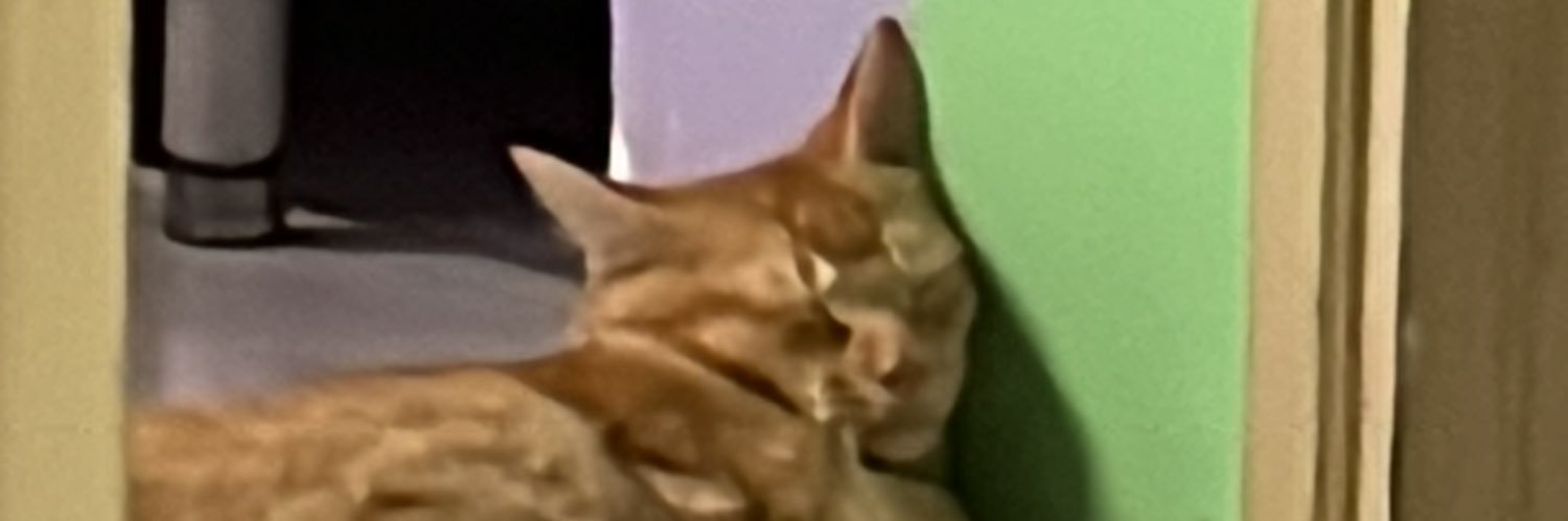 ndhrhthrh's profile banner image