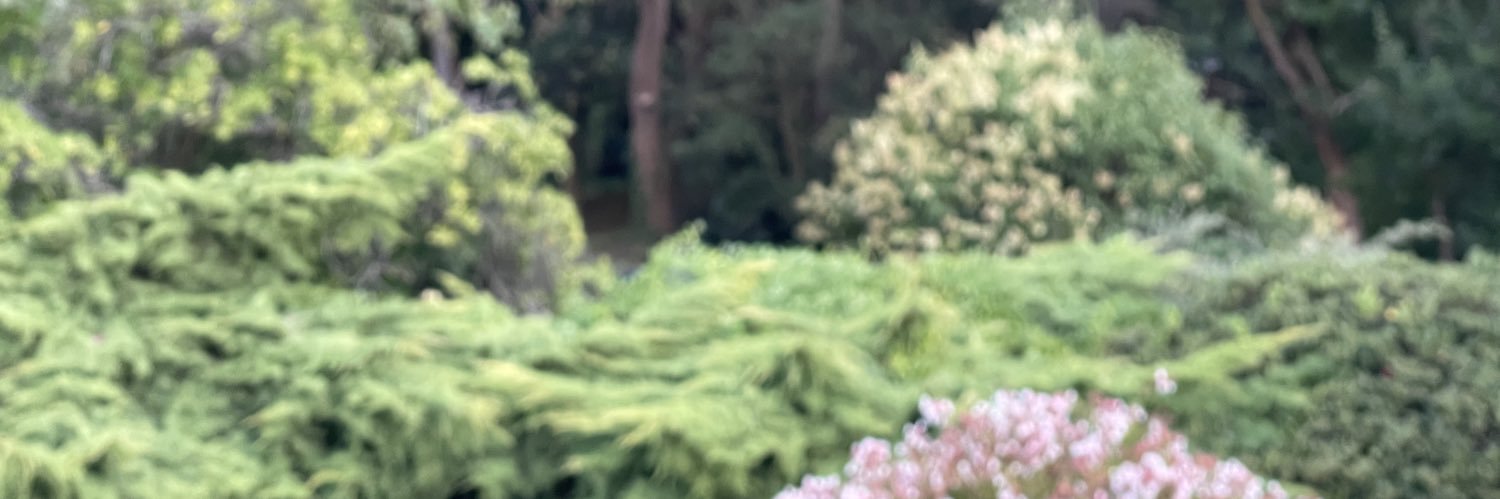 xpedritio's profile banner image