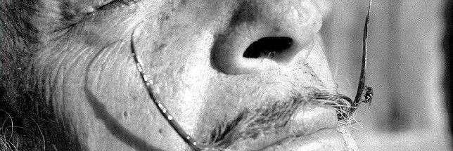 manusuqui's profile banner image