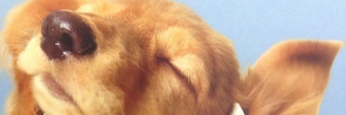 tbwcf131's profile banner image