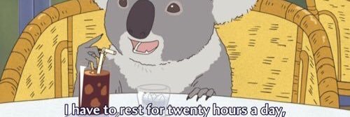 jenn_ahn23's profile banner image