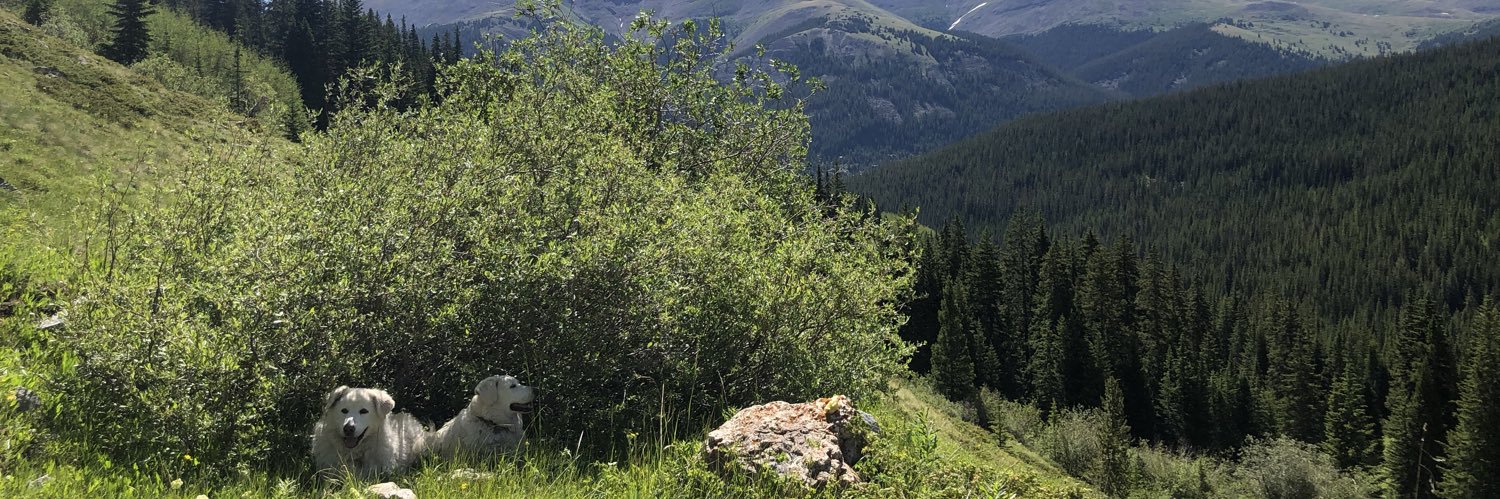 Wendy Lu Maxwell-Barton banner