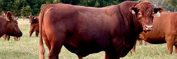 WadeTrailerman Profile Banner