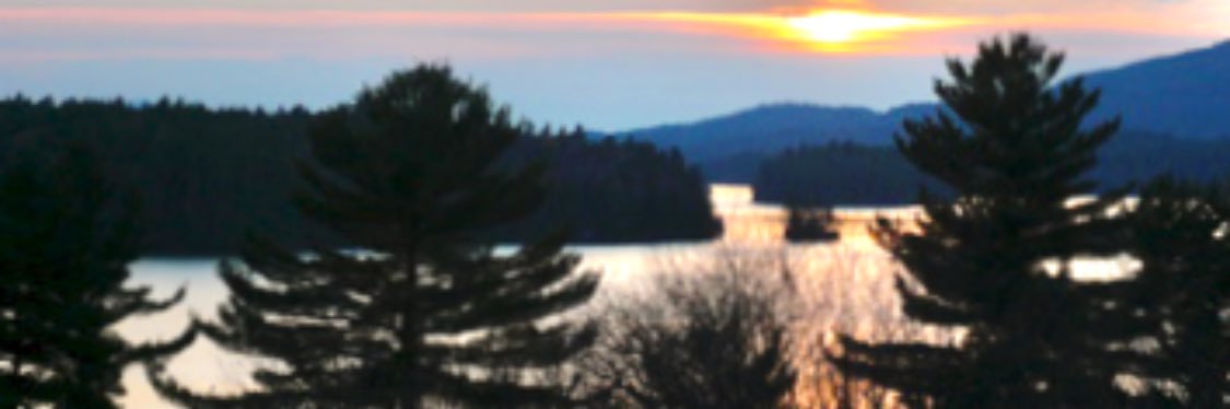 ChildlessDogLady banner