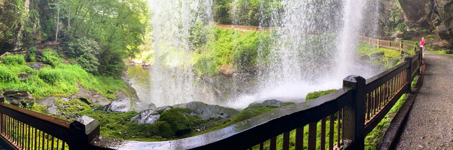 ToWhomItMayConcern banner