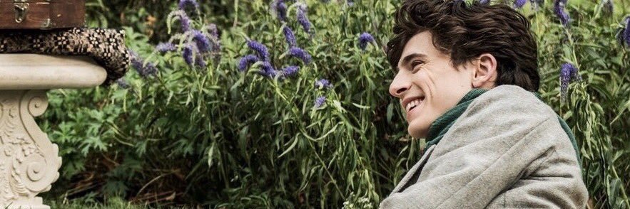 DV🌻 banner
