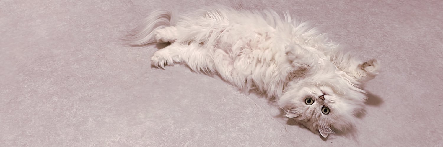 はやしゆの🌸4/24.25BDEV banner