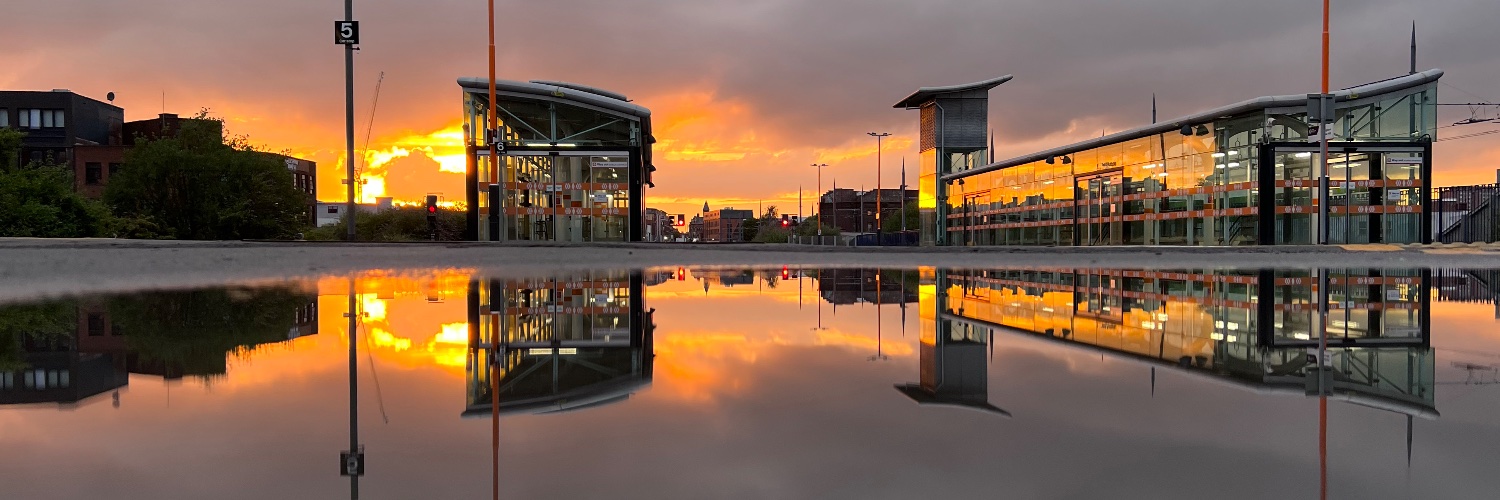 Damien Walmsley banner