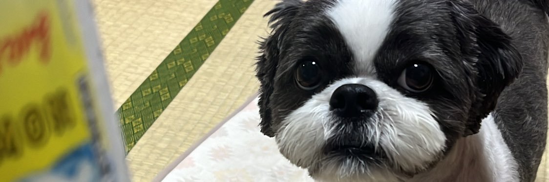 akubikkuru's profile banner image
