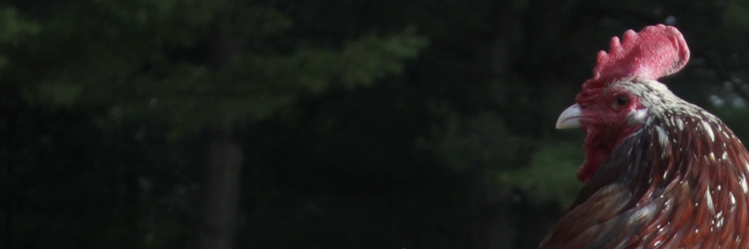 erincather's profile banner image