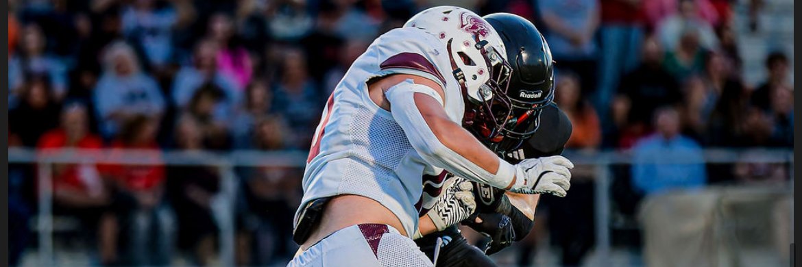 Blayden Neill 🐝 banner