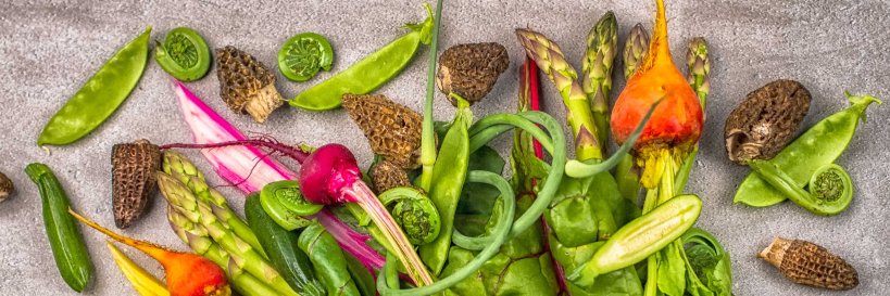 RauDZ Regional Table banner