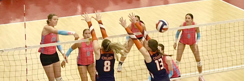 Taylor Freeland banner