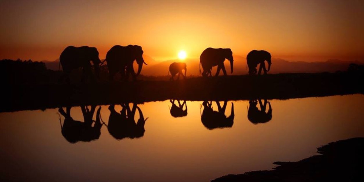 Jane figueiredo banner