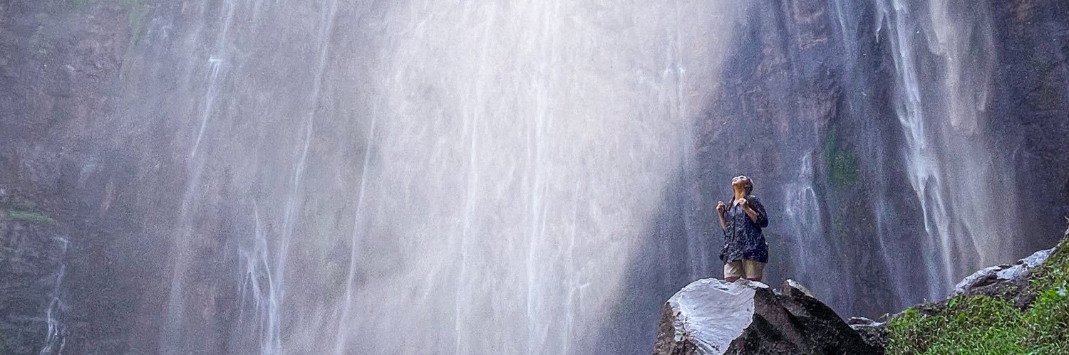 wlutfiani's profile banner image