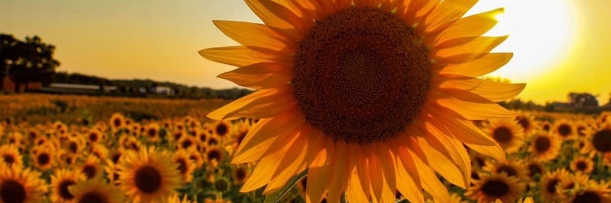 InfiniteeBeauty's profile banner image