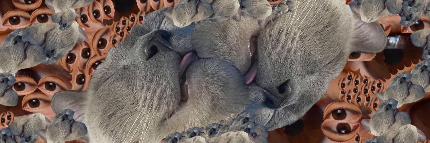 Nerve_racking's profile banner image