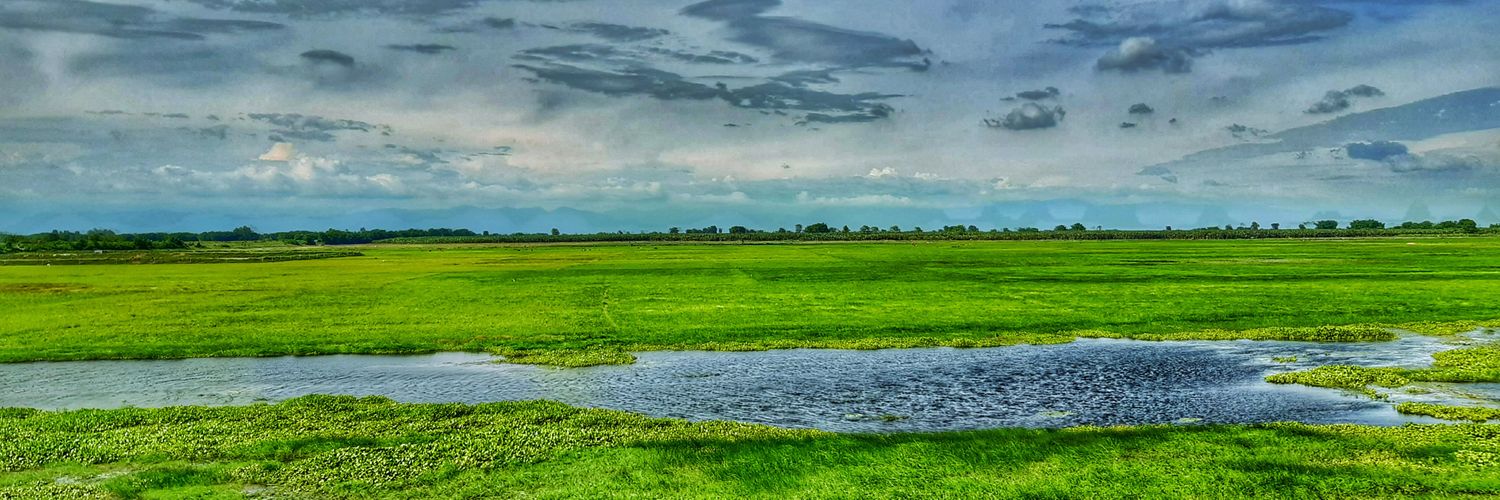 shlesh77's profile banner image