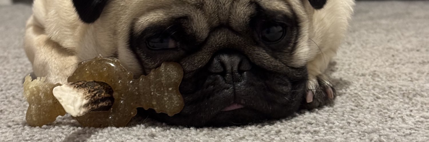 danilowC's profile banner image