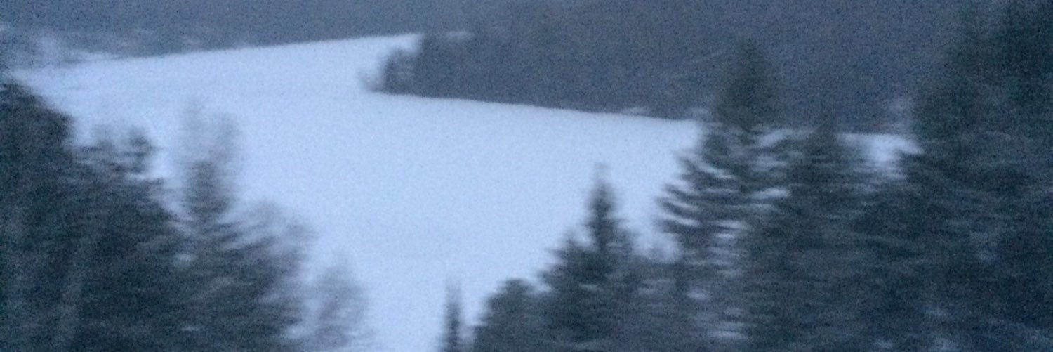 erikadamiak's profile banner image