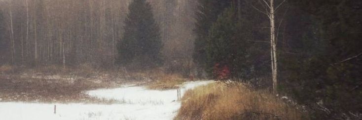 (᨟ ͜● ᨟) banner