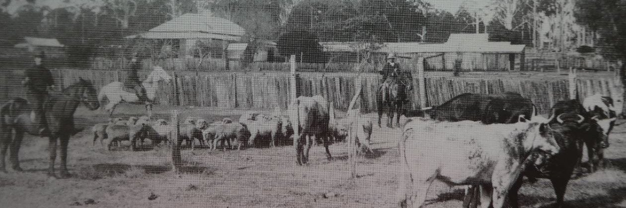 Linda Galligan banner