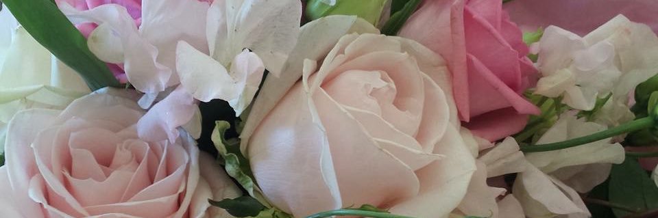 Amz785's profile banner image