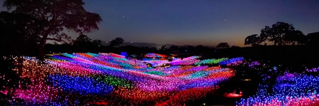 Stephanie Bayer banner